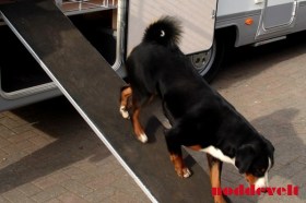 rubber-antislip-mat-honden-kennel-asiel-bench-ren-hok-loopplak